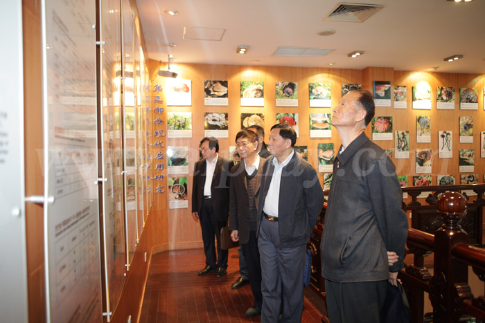 圖片關(guān)鍵詞 圖片關(guān)鍵詞