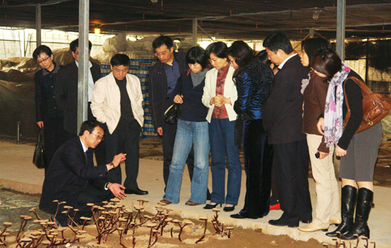 圖片關鍵詞 圖片關鍵詞