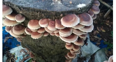 行業(yè)動(dòng)態(tài)