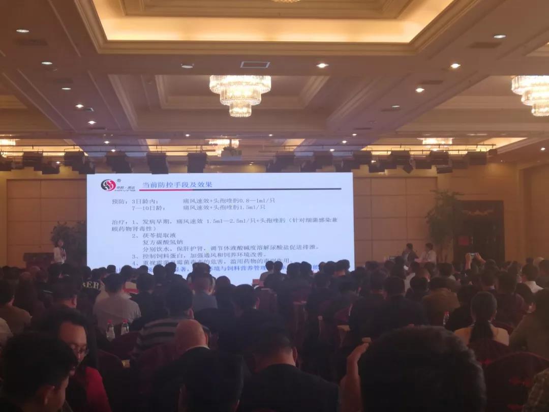 我國軸承產業發展現狀分析