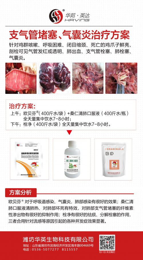 喊話經(jīng)銷商丨為什么你的渠道丟了？