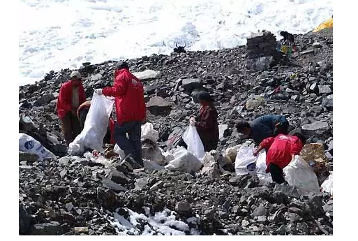 你被“垃圾分類”洗腦了嗎？揭秘強(qiáng)制分類背后的驚天秘密！-