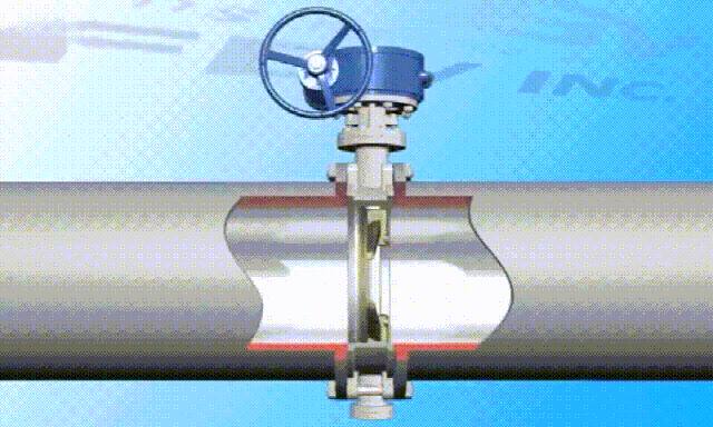 6種閥門(mén)的3d動(dòng)畫(huà)解剖，秒懂工作原理-