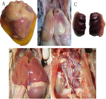 什么是二次供水？你關注過自家小區的二次供水嗎?