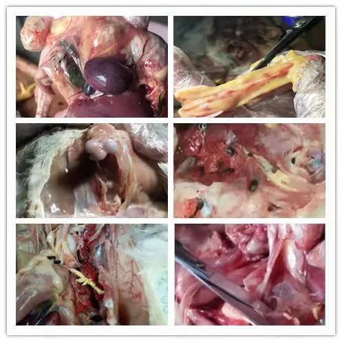 村鎮污水處理市場前景可觀，未來千億規模值得把握！-