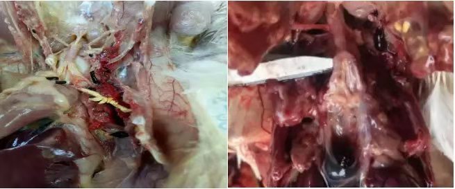 村鎮污水處理市場前景可觀，未來千億規模值得把握！-