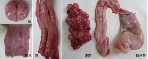 關(guān)閉一個閥門需要轉(zhuǎn)80000圈？究竟是怎樣的閥門？（附閥門基礎(chǔ)知識類型大全匯總表）-