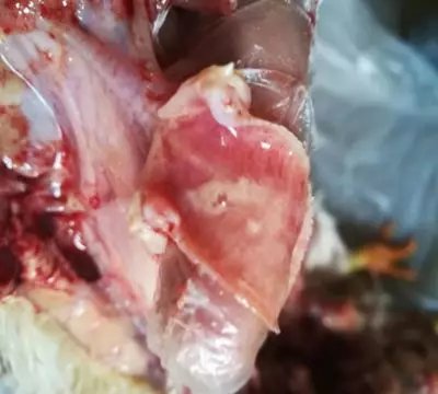 別人給不了的安全感ta能給——abb電機大揭秘……-