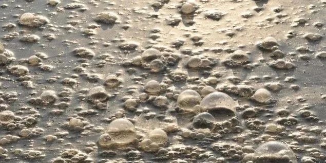 污水廠內的生物氣溶膠怎么產生，污水從業人員如何做好防護？-