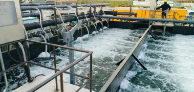 走人與自然和諧共生的現代化道路——生態環境部部長黃潤秋談生態環保熱點問題