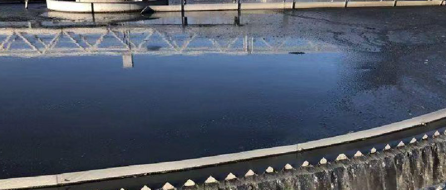 再生水利用率高達50%！看北控水務這座污水廠玩轉資源化