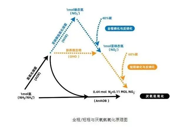面對低濃度氨氮工業(yè)廢水束手無策？這幾種方法可以解決-